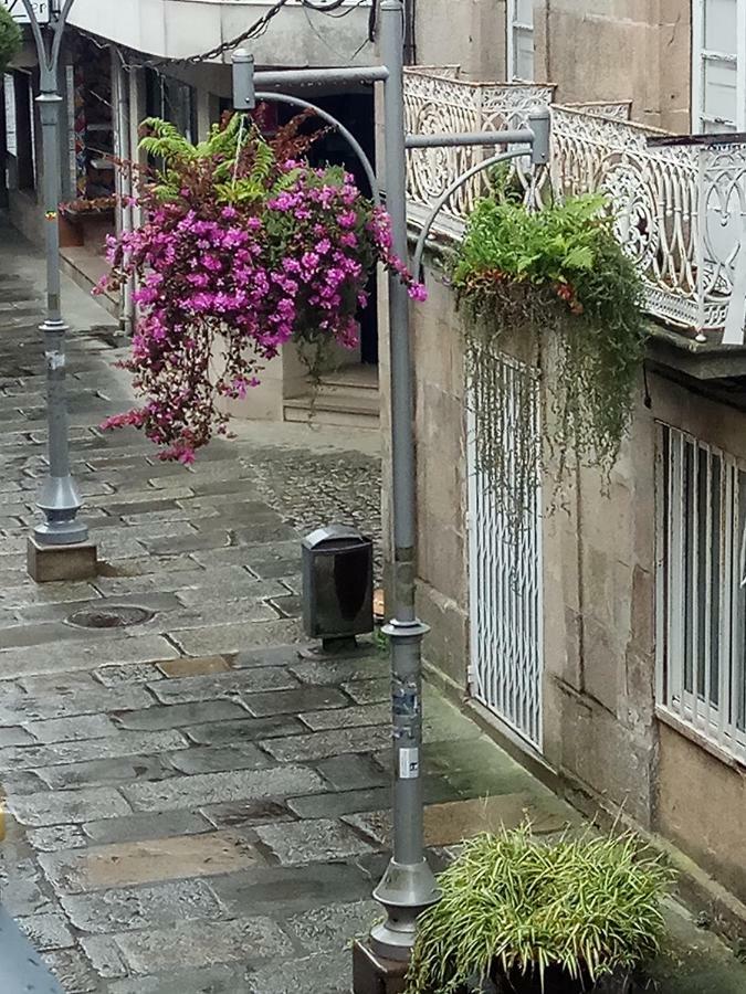 Apartment Garden Caldas De Reis Exterior photo